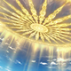 CE Icon