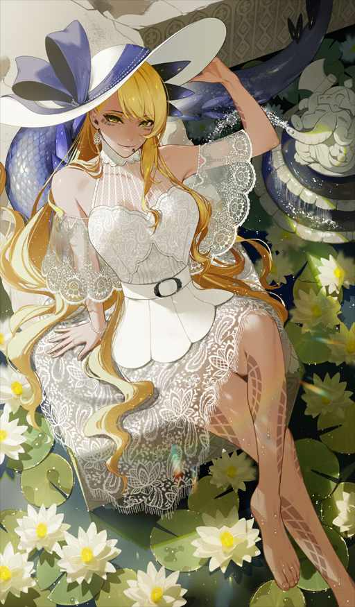 Among the Nymphaea