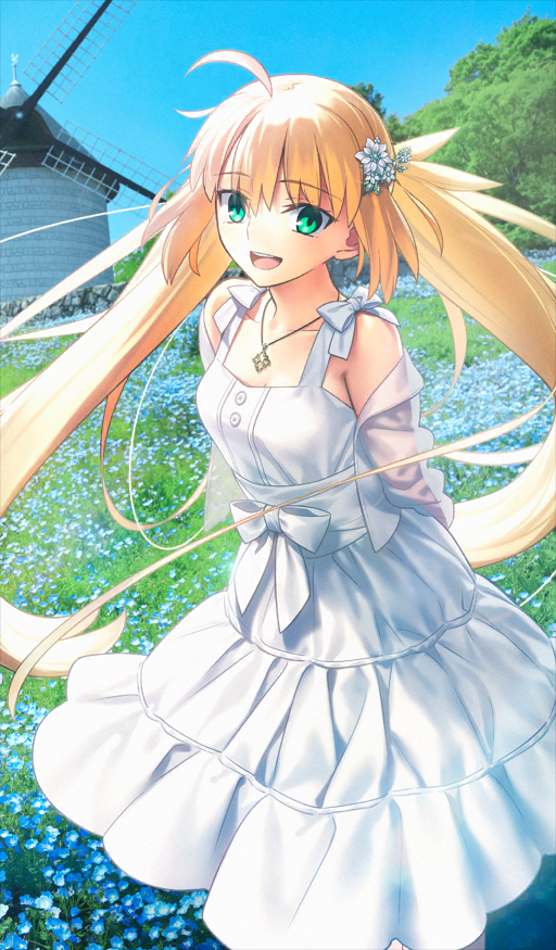 Heroic Spirit Star Travel: Altria Caster