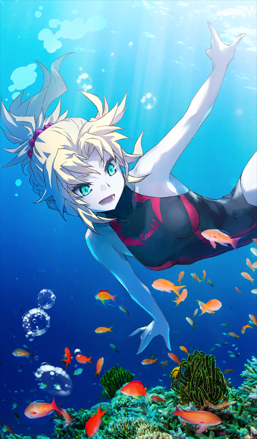 Heroic Spirit Star Travel: Mordred