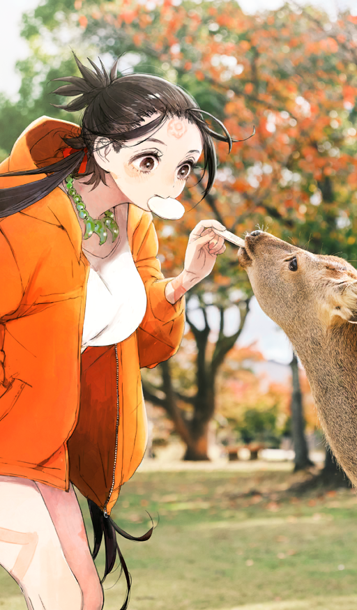 Heroic Spirit Star Travel: Himiko