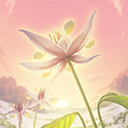 Chocolate Flower Garden