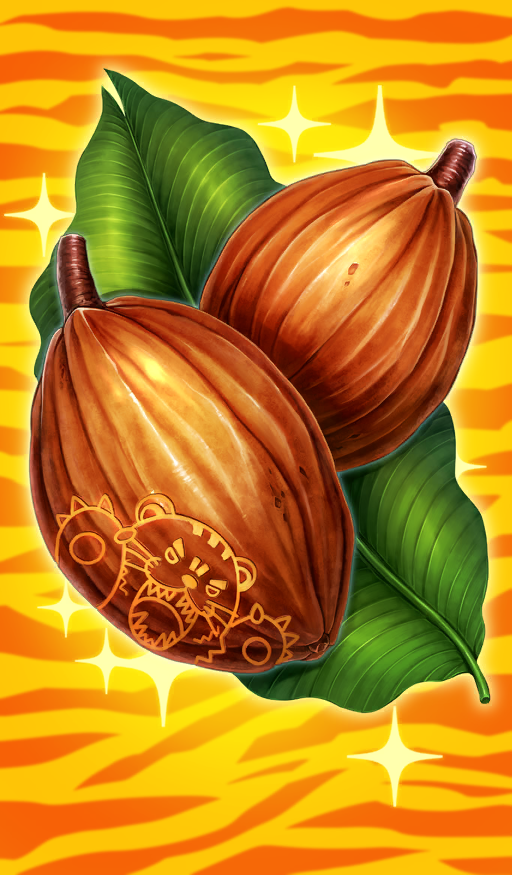 Cacao Beans