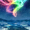 The Rainbow Soaring Under the Night Sky