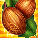 Cacao Beans