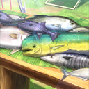 Fresh Fishes Set