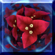 Skill Icon