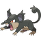 Alolan Rattata