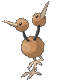 Doduo