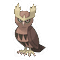 Noctowl