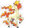 Rapidash