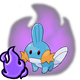 Shadow Mudkip