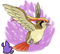 Shadow Pidgeot