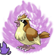 Shadow Pidgey