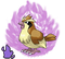 Shadow Pidgey