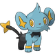 Shinx