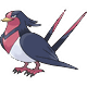 Swellow