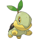 Turtwig