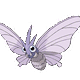 Venomoth