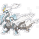 White Kyurem