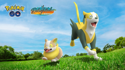Yamper’s Paw Prints