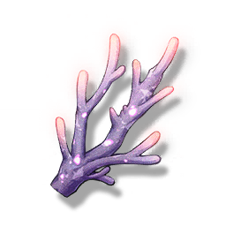 Violet Coral