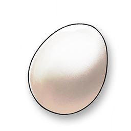 Bird Egg