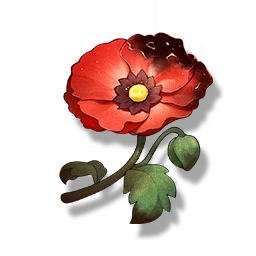 Belle Poppy